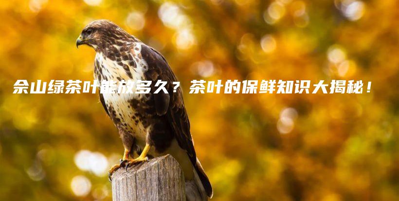 佘山綠茶葉能放多久？茶葉的保鮮知識大揭秘！插圖