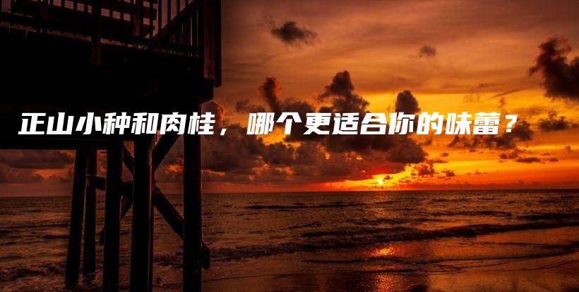 正山小種和肉桂，哪個更適合你的味蕾？插圖