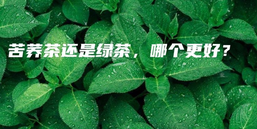 苦蕎茶還是綠茶，哪個(gè)更好？插圖