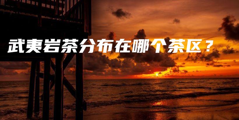 武夷巖茶分布在哪個(gè)茶區(qū)？插圖