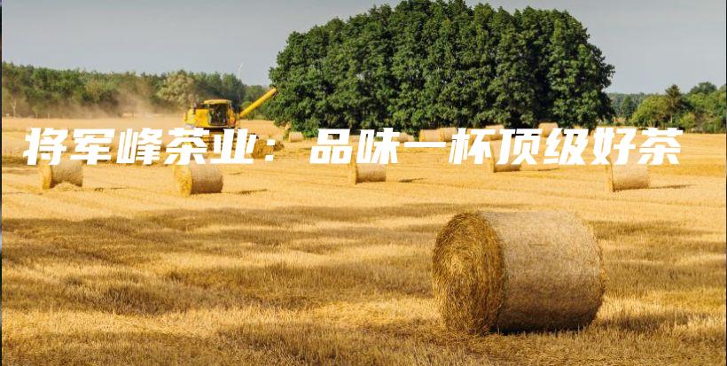 將軍峰茶業(yè)：品味一杯頂級(jí)好茶插圖