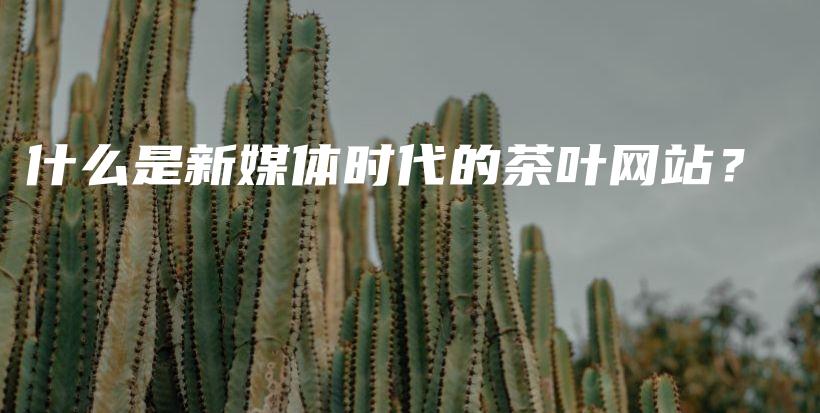 什么是新媒體時代的茶葉網(wǎng)站？插圖