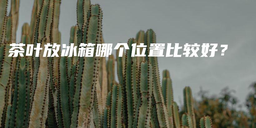 茶葉放冰箱哪個位置比較好？插圖