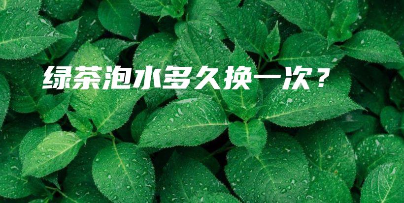 綠茶泡水多久換一次？插圖