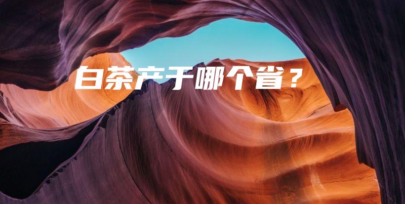 白茶產(chǎn)于哪個?。坎鍒D
