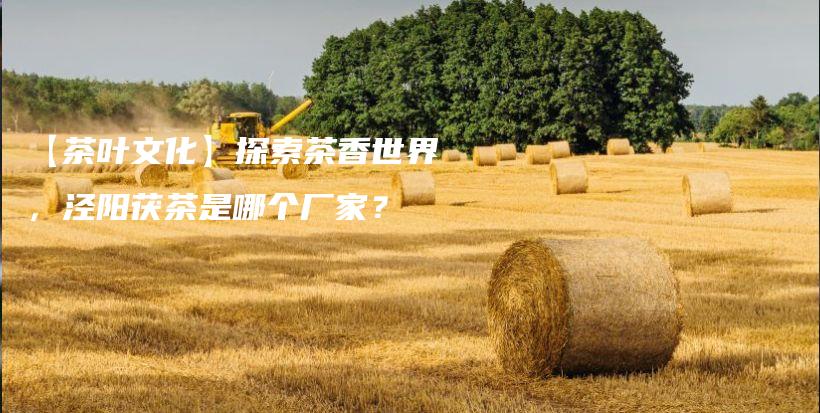 【茶葉文化】探索茶香世界，涇陽茯茶是哪個廠家？插圖