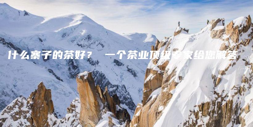 什么寨子的茶好？ 一個(gè)茶業(yè)頂級專家給您解答插圖