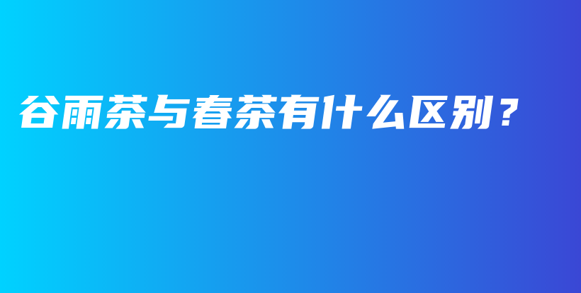 谷雨茶與春茶有什么區(qū)別？插圖