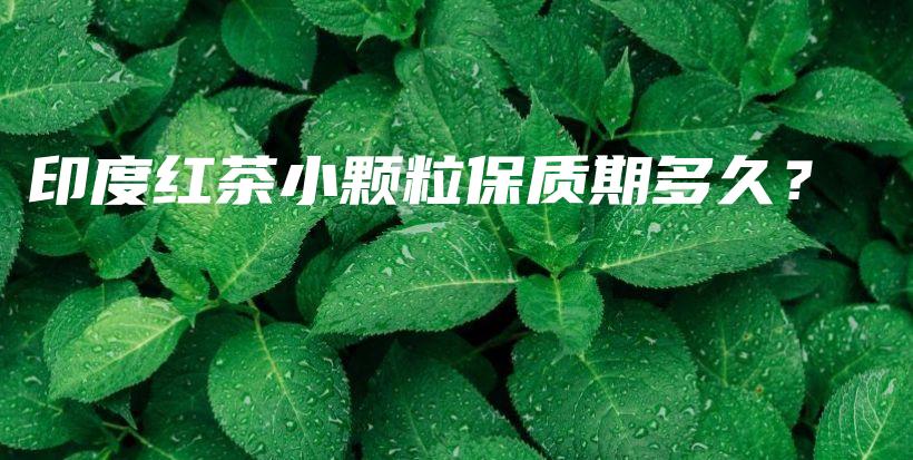 印度紅茶小顆粒保質(zhì)期多久？插圖