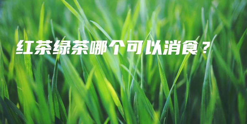 紅茶綠茶哪個可以消食？插圖