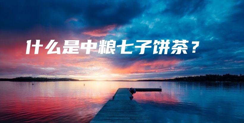 什么是中糧七子餅茶？插圖