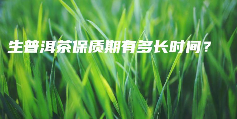 生普洱茶保質(zhì)期有多長(zhǎng)時(shí)間？插圖