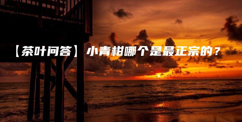 【茶葉問答】小青柑哪個是最正宗的？插圖