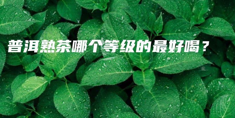 普洱熟茶哪個(gè)等級(jí)的最好喝？插圖