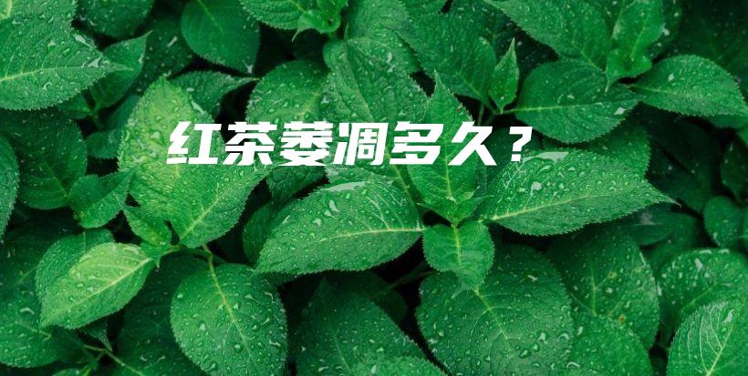 紅茶萎凋多久？插圖