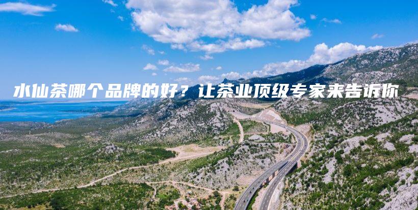 水仙茶哪個品牌的好？讓茶業(yè)頂級專家來告訴你插圖