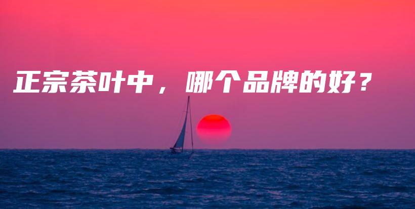 正宗茶葉中，哪個(gè)品牌的好？插圖