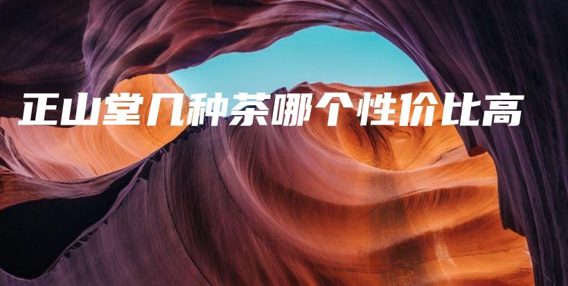 正山堂幾種茶哪個(gè)性價(jià)比高插圖