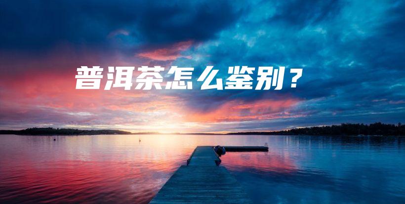 普洱茶怎么鑒別？插圖