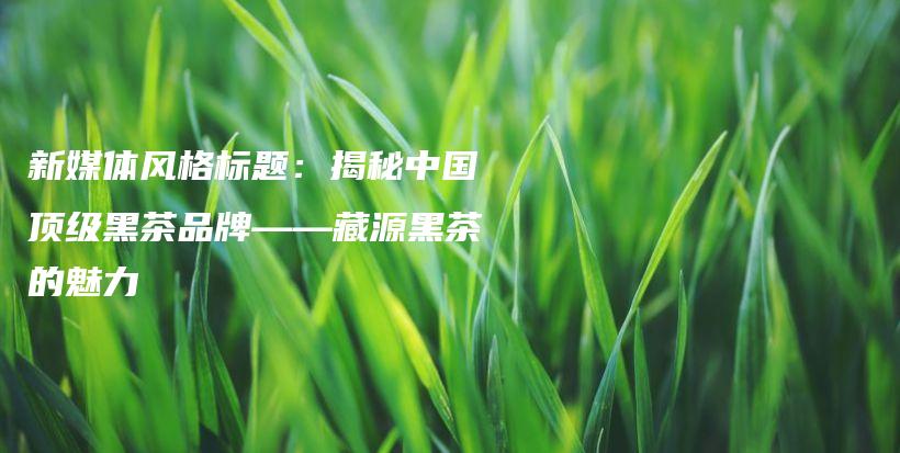 新媒體風(fēng)格標題：揭秘中國頂級黑茶品牌——藏源黑茶的魅力插圖