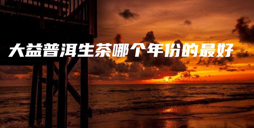 大益普洱生茶哪個年份的最好插圖