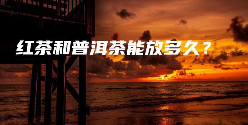 紅茶和普洱茶能放多久？插圖