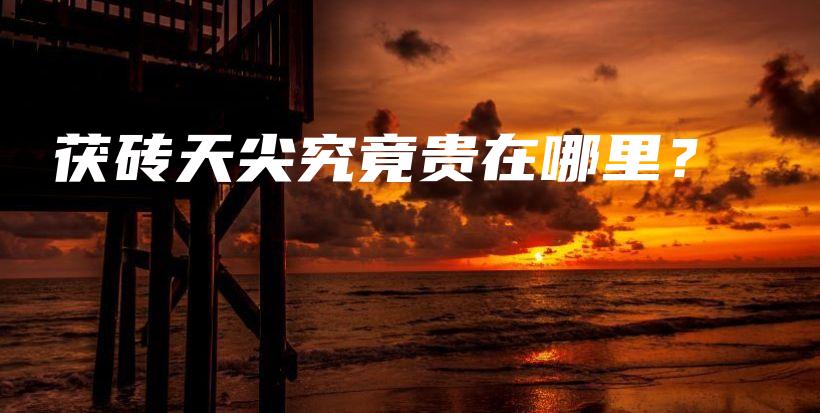 茯磚天尖究竟貴在哪里？插圖