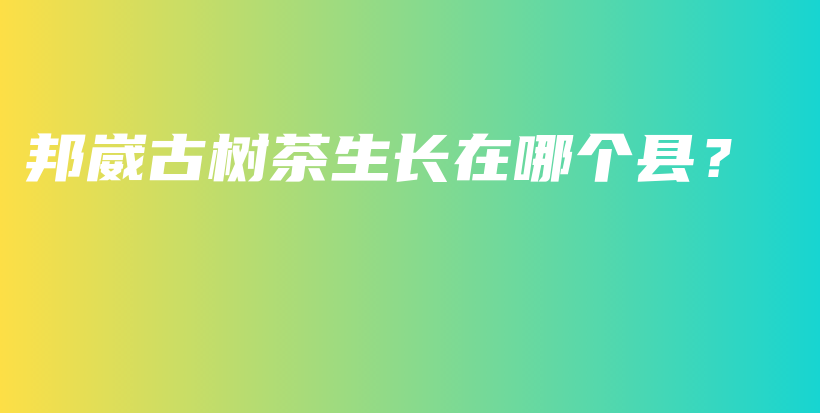 邦崴古樹茶生長在哪個縣？插圖