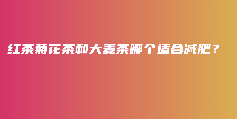 紅茶菊花茶和大麥茶哪個(gè)適合減肥？插圖