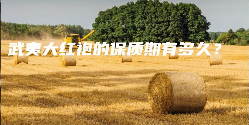 武夷大紅袍的保質期有多久？插圖
