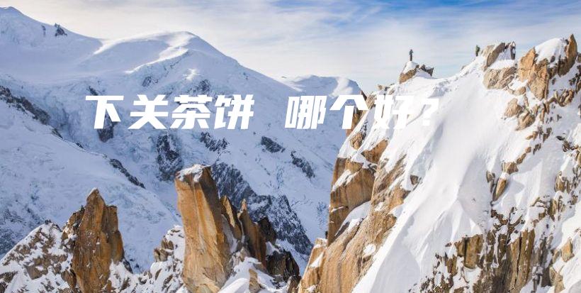 下關(guān)茶餅 哪個好？插圖