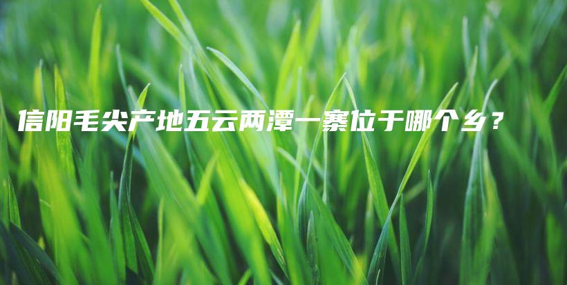 信陽毛尖產(chǎn)地五云兩潭一寨位于哪個(gè)鄉(xiāng)？插圖