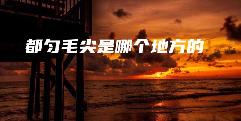 都勻毛尖是哪個(gè)地方的插圖