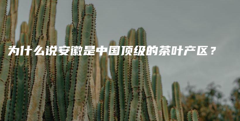 為什么說(shuō)安徽是中國(guó)頂級(jí)的茶葉產(chǎn)區(qū)？插圖