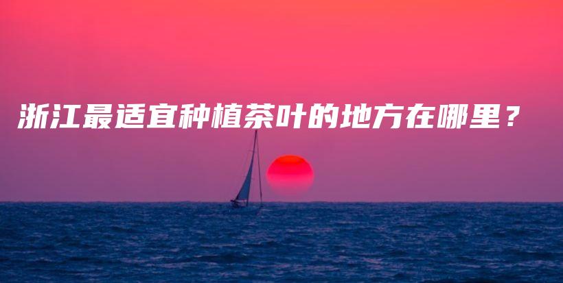 浙江最適宜種植茶葉的地方在哪里？插圖