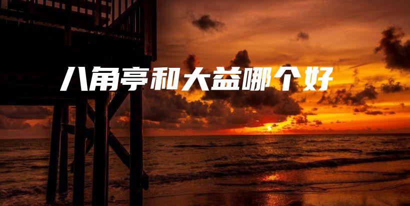 八角亭和大益哪個(gè)好插圖