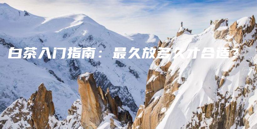 白茶入門指南：最久放多久才合適？插圖