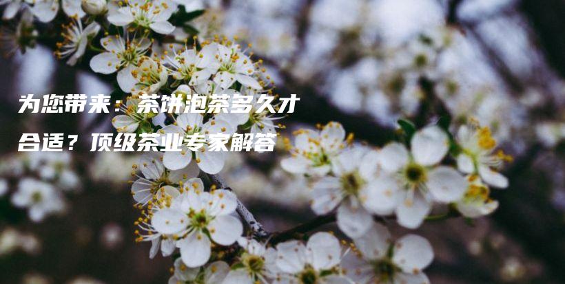 為您帶來：茶餅泡茶多久才合適？頂級茶業(yè)專家解答插圖