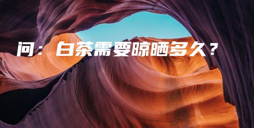 問：白茶需要晾曬多久？插圖