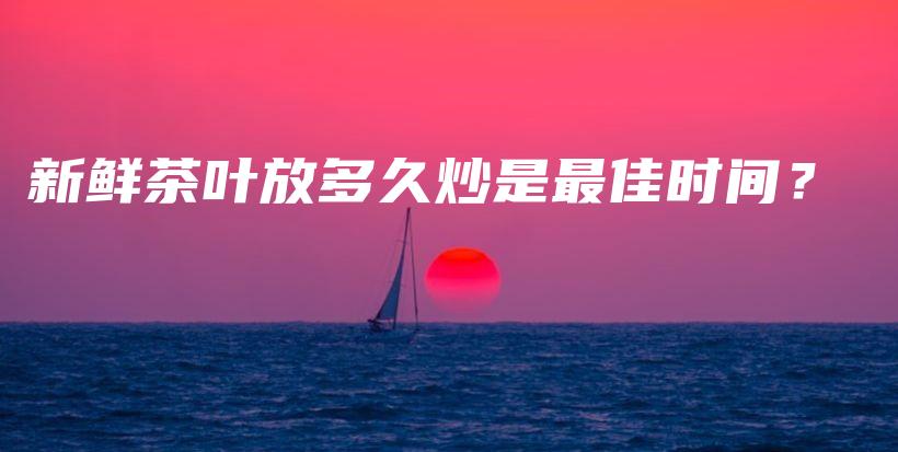 新鮮茶葉放多久炒是最佳時間？插圖