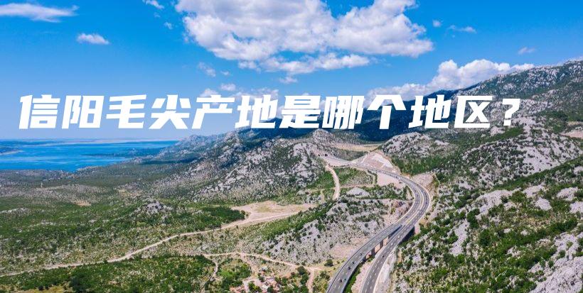 信陽(yáng)毛尖產(chǎn)地是哪個(gè)地區(qū)？插圖