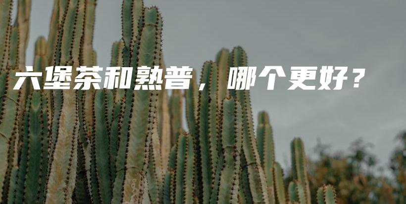 六堡茶和熟普，哪個(gè)更好？插圖