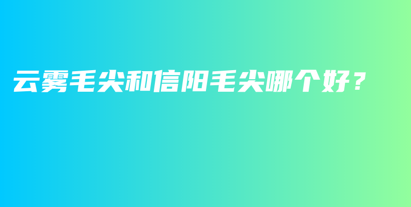 云霧毛尖和信陽毛尖哪個好？插圖