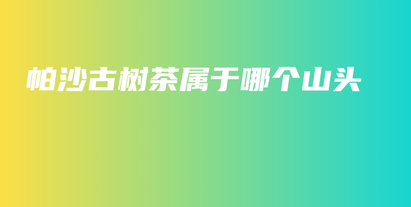 帕沙古樹茶屬于哪個(gè)山頭插圖