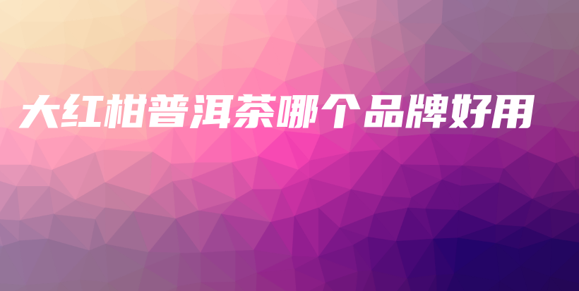 大紅柑普洱茶哪個品牌好用插圖
