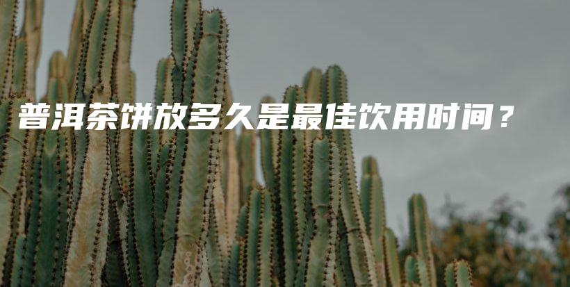 普洱茶餅放多久是最佳飲用時(shí)間？插圖