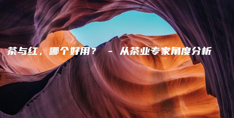 茶與紅，哪個(gè)好用？ – 從茶業(yè)專(zhuān)家角度分析插圖