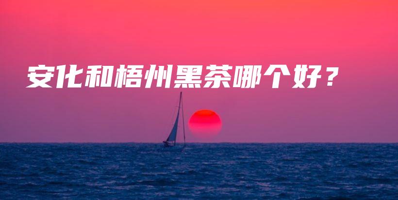 安化和梧州黑茶哪個好？插圖