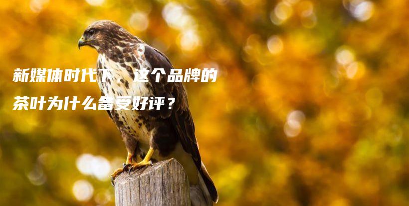 新媒體時代下，這個品牌的茶葉為什么備受好評？插圖