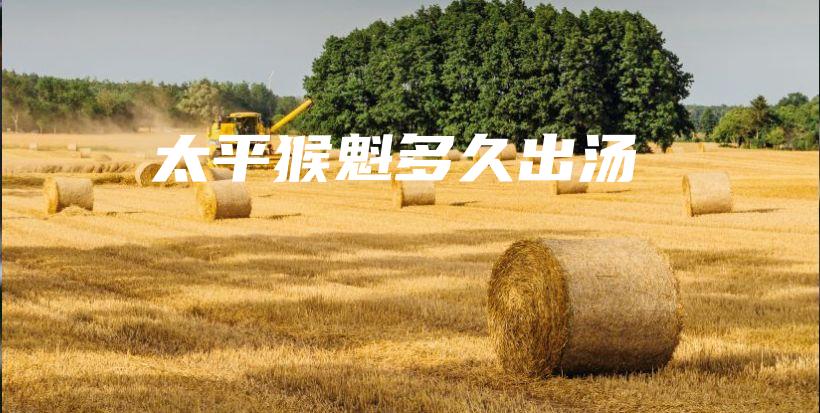太平猴魁多久出湯插圖